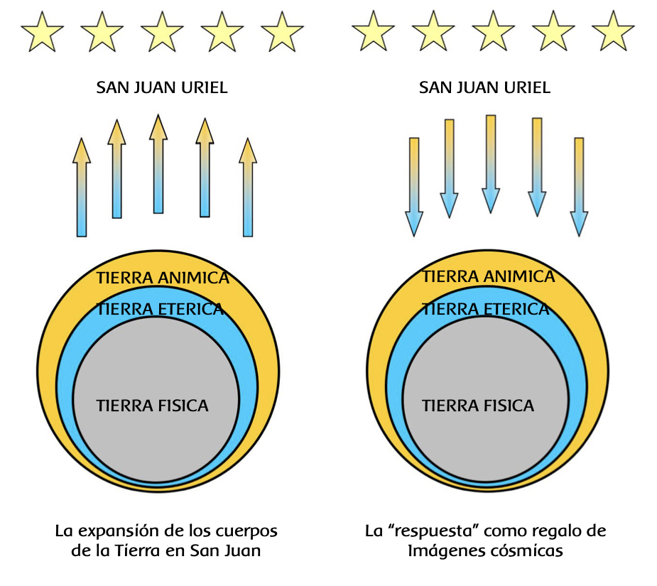 La planta como hija del Sol